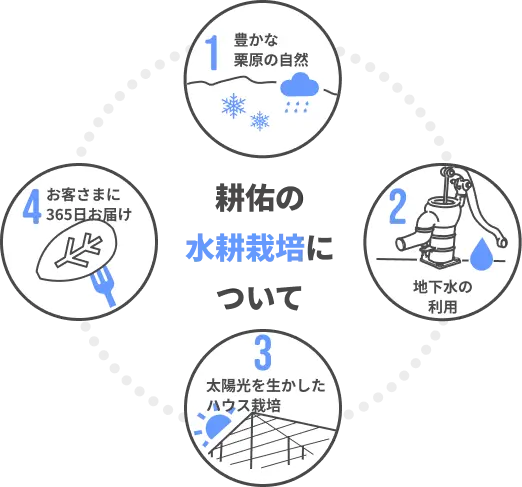 水耕栽培のしくみ